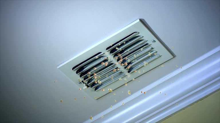 Best Home Air Vent Cleaning  in Woodward, OK